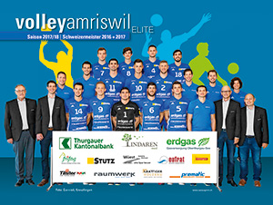 Volley Amriswil, Volleyball